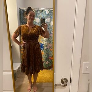 Beautiful boutique velvet dress Mystree brand